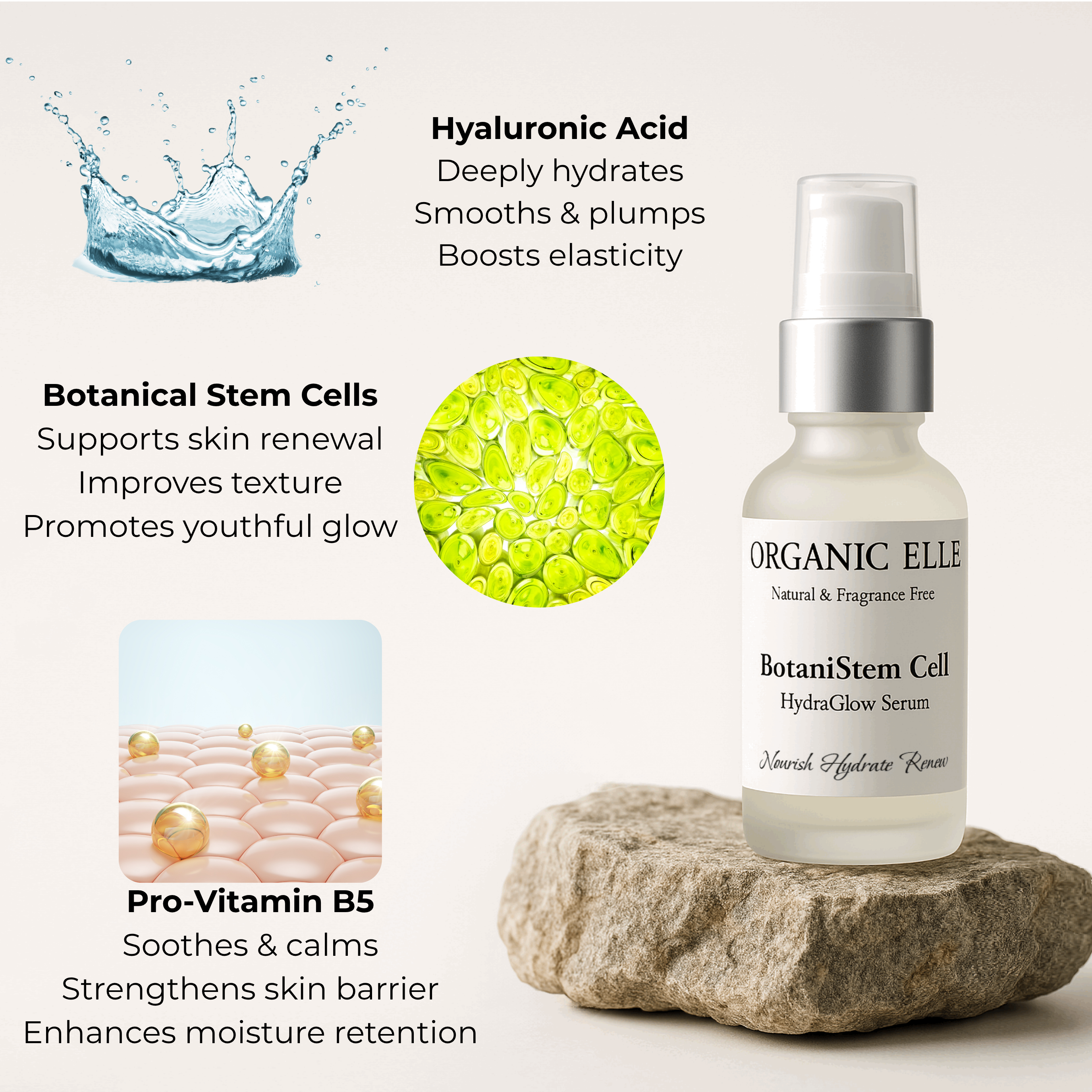 BotaniStem Cell HydraGlow Serum